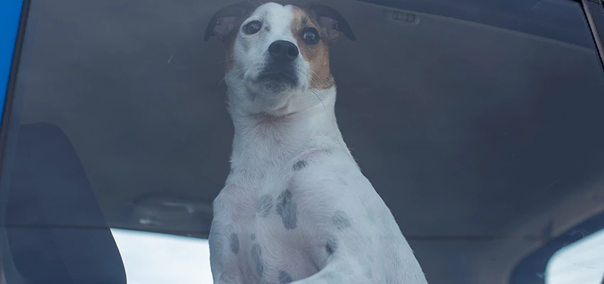 Car Lockout Solutions in Cutler, California